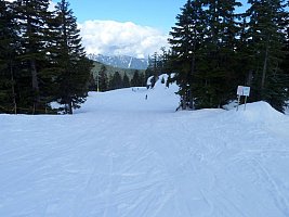 Горнолыжный курорт Cypress Mountain