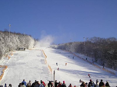 Dry slopes Hohe Wand Wiese – Vienna: схема склонов
