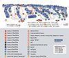 Золотая Долина: схема склонов