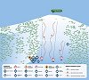 Подобовец: схема склонов