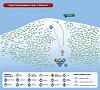 Ворохта: схема склонов