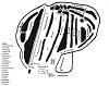 Хермон Маунтин: схема склонов